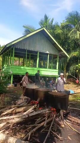The video shows an outdoor cooking scene with several large pots over open fires in front of a raised, light green wooden structure with a white roof. Three men are actively engaged in cooking, with two stirring the contents of the pots and one tending to the fire. Another man stands nearby, holding a long wooden stick. In the background, a group of men are seated and observing the cooking process. The environment appears to be tropical, with lush green foliage and palm trees visible. The sky is blue with some clouds. The overall atmosphere suggests a communal gathering or event where food is being prepared in large quantities.