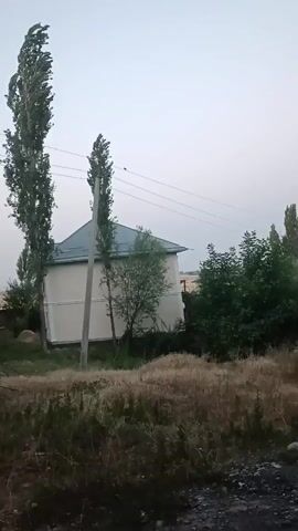 The video shows a tall, slender house with a teal roof and cream-colored walls. Two tall, thin trees stand to the left of the house, one very close to the house itself. Power lines run horizontally across the frame, and several birds are perched on them. The ground in the foreground is covered in dry grass and debris. The sky is overcast.