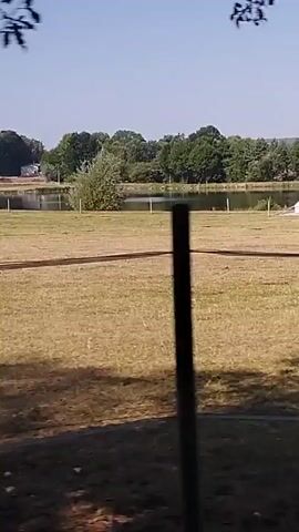 The video shows a blurred view of green leaves in the foreground, obscuring a landscape beyond. The landscape appears to be a grassy field with some trees and a body of water. In the distance, there are more trees and a faint hint of buildings. The scene suggests movement, possibly from a vehicle, as indicated by the blur. There are no people or discernible interactions visible.