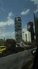 Driver captures blooming roadside scenery in Puebla, Mexico