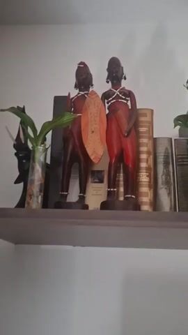 The video pans across a shelf containing several decorative items. On the left, there are two wooden figurines of people in traditional attire, holding shields. Next to them are several books. To the right of the figurines, a green plant sits in a glass vase. Further to the right, there are more books, followed by a row of wooden elephant figurines. The shelf is mounted on a white wall.