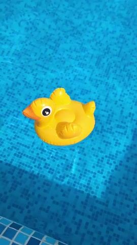 A yellow rubber duck floats in the center of a bright blue swimming pool. Sunlight reflects off the water, creating a shimmering effect on the tiled bottom of the pool. The duck is positioned with its beak pointing to the left.