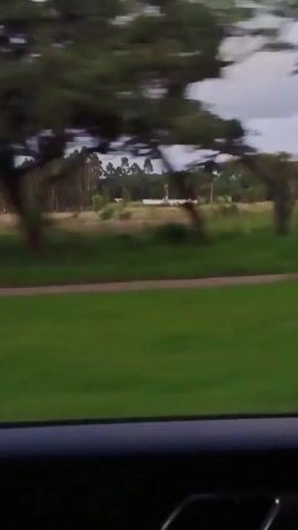 The video shows a view from inside a moving vehicle, looking out at a grassy landscape. The foreground consists of the interior of the vehicle, including the dashboard and the door frame.  The focus is on the scenery outside the window, which consists of a field of green grass, a narrow paved area, and trees. A cluster of trees and a small white building can be seen in the distance under a cloudy sky. The camera moves with the vehicle, blurring the scenery as it passes. The overall lighting suggests it is daytime, but perhaps overcast.