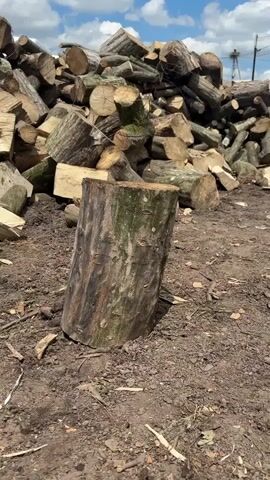 The video shows a log with an axe embedded in it. The log is standing upright in the dirt, and the axe head is visible sticking out of the top. Behind the log, there is a large pile of chopped firewood. The ground is covered in dirt and small pieces of wood. The sky is visible in the background, with some clouds. The video appears to be a short, static shot of this scene.
