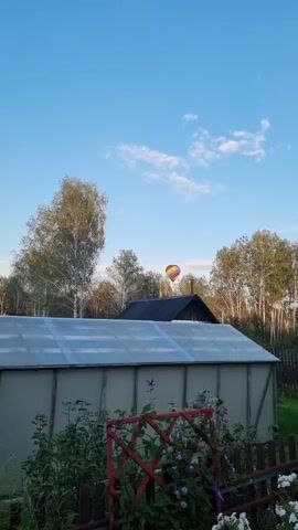 The video shows a clear blue sky with a few wispy clouds. In the distance, a hot air balloon with rainbow-colored panels is visible against the sky. In the foreground, there is a greenhouse with a translucent roof and a wooden frame. Behind the greenhouse, there are trees with green foliage and white bark, typical of birch trees. A dark-colored house with a pitched roof is partially visible behind the greenhouse, and further in the background, a fence and more trees can be seen. The overall setting appears to be a rural or suburban backyard. The lighting suggests it is late afternoon or early evening, with the sun casting a warm glow.