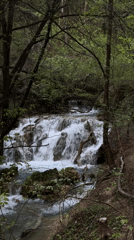 Forest waterfall documented near Bachkovo, Bulgaria