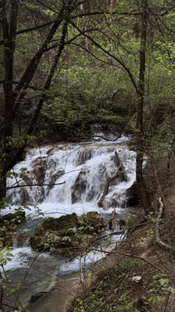 Forest waterfall documented near Bachkovo, Bulgaria