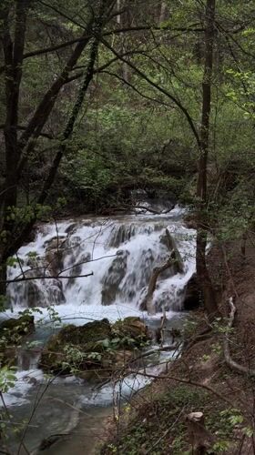 Forest waterfall documented near Bachkovo, Bulgaria