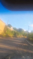 Mixed everyday video recordings span residential, outdoor, and indoor scenes