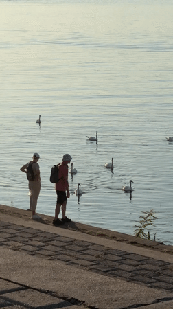 A pause along Belgrade's waterfront on a summer afternoon.
