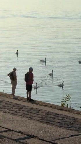 A pause along Belgrade's waterfront on a summer afternoon.