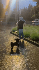 Mixed scenes from Ternopil: rain walks, stage events, home entertainment