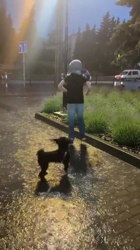 Mixed scenes from Ternopil: rain walks, stage events, home entertainment