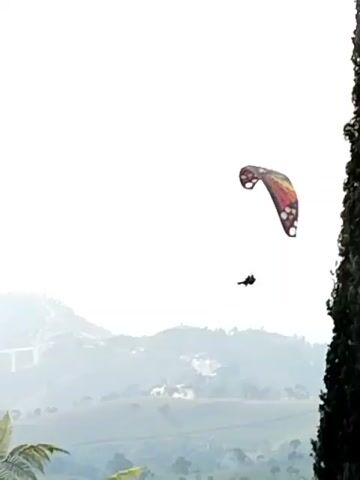 A paraglider with a monarch butterfly pattern on its wing is soaring through the sky. The paraglider is suspended by lines attached to the wing, with a person in a harness below. The scene is set against a backdrop of rolling hills and a hazy sky, with a tall, dark green cypress tree dominating the right side of the frame. The image is a still frame from a video, as indicated by the timestamps in the corners.