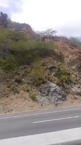 This is a video recorded from a moving vehicle, likely on a highway, in Catia La Mar, Venezuela. The scene depicts a mountainous landscape with rocky slopes and sparse vegetation, interspersed with patches of green trees. The road appears to be a multi-lane highway with clear white lane markings.

Several vehicles are visible on the highway. In the initial frames, a white car is partially seen. Shortly after, a motorcycle with a rider is captured, traveling in the same direction. Later, a black car passes by. In the background, a small, modern-looking gazebo or pavilion structure is visible on a grassy area adjacent to the road, suggesting a park or recreational area. The sky is partly cloudy, indicating it's daytime, likely late morning or early afternoon, given the bright sunlight. The overall mood is neutral, capturing a common travel scene. There are no discernible emotions conveyed. No text is visible within the video frames. The presence of the gazebo and the mountainous terrain are the most notable details in the setting.