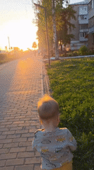 Golden hour moments captured in Chaikovsky: toddler, dandelions, sunset