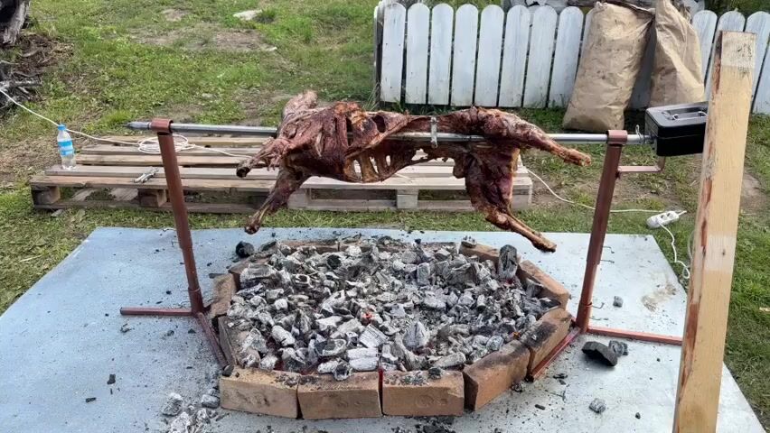 A whole animal carcass is being spit-roasted over a fire pit. The carcass appears to be a lamb or goat, browned and slightly charred from the heat. The spit is supported by metal stands, and a motor can be seen attached to one end, presumably to turn the spit. The fire pit is constructed from bricks and filled with glowing coals and ash. The scene takes place outdoors, with a grassy area and a white picket fence visible in the background, along with some wooden pallets and burlap sacks.