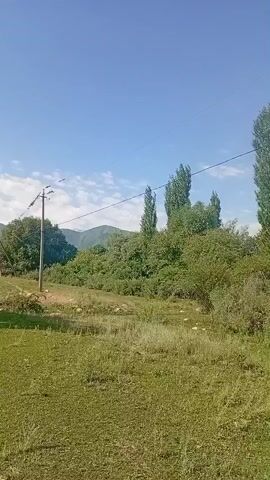A vertical, handheld video shows a rural landscape on a sunny day. In the foreground, a grassy field with a dirt path winding through it is visible. Power lines stretch across the frame, supported by utility poles. Beyond the field, a dense line of trees forms a backdrop, with rolling hills and mountains in the distance. The sky is clear blue with a few scattered clouds. The camera appears to be panning slowly or is stationary. There are no people or animals visible in the footage.