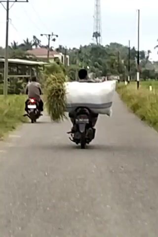 The video shows two people riding motorcycles on a narrow asphalt road in what appears to be a rural area. One of the motorcycles is carrying a very large, white sack, while the other is carrying a bundle of green foliage. The road is lined with grass and some agricultural fields. In the background are trees, houses, utility poles, and a tall communication tower. The weather appears overcast.