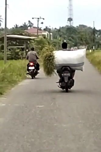 Motorcyclists carry cargo on rural Indonesian road