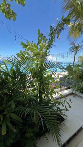 The video is a bright, sunny outdoor shot of a beach club. Lush green foliage and palm trees frame the view, which opens up to a patio area with white lounge furniture, dark wood tables, and large light-blue umbrellas. A string of decorative lights hangs above the patio. Beyond the patio, the blue ocean stretches to the horizon under a clear, bright blue sky.