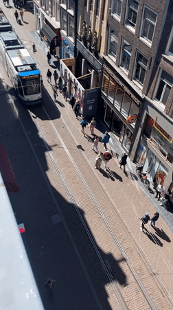 Tram 24 travels busy Amsterdam street on sunny afternoon