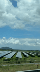 Solar farm sprawls across open grassland near Vietnamese mountains