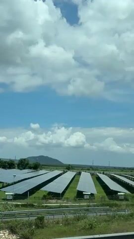 This video captures a long shot of a solar farm under a partly cloudy sky. Rows of solar panels are arranged in a vast, grassy field. In the distance, a prominent hill or mountain range is visible. A fence runs along the edge of the solar farm, and a road with a barrier is in the foreground. The camera appears to be moving, likely from a vehicle, as indicated by the subtle motion blur and the changing perspective. There is a single cow grazing in the grassy area between the road and the solar panels. The overall scene conveys a sense of open space and renewable energy generation.