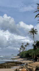Tropical beach scenes documented in Midigama, Sri Lanka