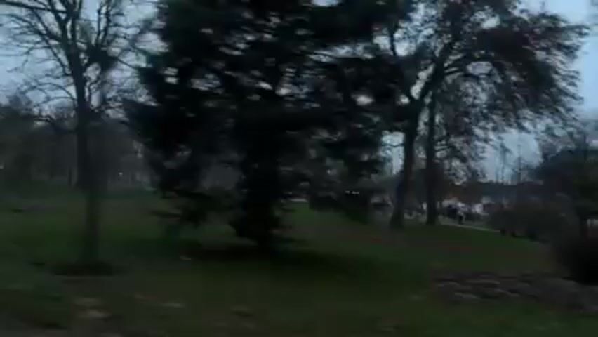 The camera moves slowly through a park on an overcast day, revealing a lawn interspersed with bare trees and a few evergreen trees. Some people are walking in the distance. A bench sits in the foreground. The scene is quiet.