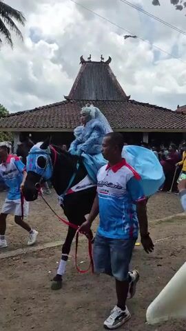 A procession is underway, featuring a person in a blue dress riding a black horse. The horse is adorned with blue leg wraps and a blue blind on its eyes. A man wearing a blue and white shirt and jeans walks beside the horse, holding its reins and appearing to guide it. He is walking to the left of the frame. Behind the horse, a crowd of people are gathered, observing the procession. They are standing in front of a building with a traditional tiled roof, possibly a house or a communal structure. Some spectators are closer to the procession, while others are further back. The environment appears to be outdoors, with dirt ground and some trees visible in the background, including a palm tree. The sky is cloudy. Another man in a maroon shirt and light-colored pants is walking towards the right side of the frame, appearing to be part of the group, possibly a spectator or participant. The scene suggests a cultural event or a parade.