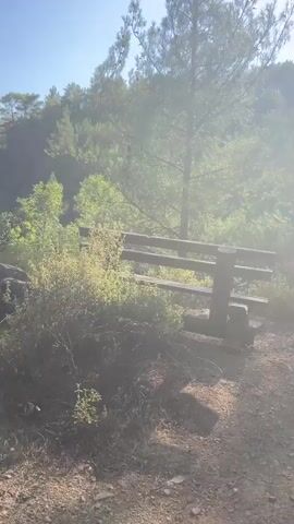 The video shows a dirt path winding through a sun-dappled forest. Tall trees with thin trunks line the left side of the path, while the right side is covered in dense green foliage and smaller bushes. Rocks and fallen leaves are visible on the ground. The path is well-trodden and appears to be a hiking trail. The sunlight filters through the trees, creating a warm and inviting atmosphere. The sky is a clear blue. The camera appears to be handheld, moving along the path. There are no people or animals visible in the video.