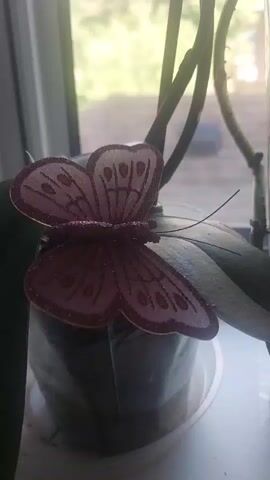 A fake butterfly decoration is attached to a plant in a pot near a window. The butterfly is maroon with lighter pink markings. The plant has large green leaves and thin brown stems. The background outside the window is blurred and appears to be lit by daylight.