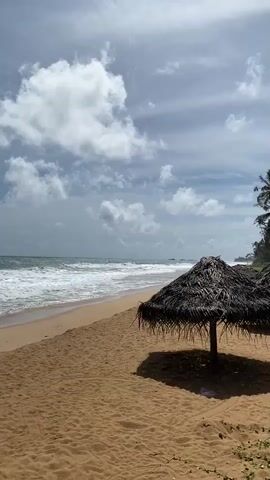 The video shows a tropical beach with palm trees, a thatched umbrella, and the ocean. The sky is cloudy. The waves are crashing on the shore. The sand is golden. There are no people visible in the video.