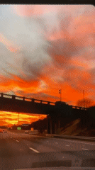Evening snapshots: Sofia residents captured during sunset commute and casual moments