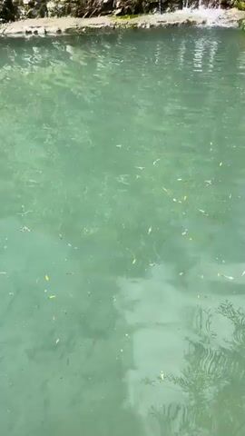 The video shows a body of turquoise water with some leaves floating on the surface. In the background, there is a rocky embankment with a small waterfall. The embankment is covered with vegetation and trees. The camera then pans up to show a mountainous landscape with trees and a blue sky with white clouds. There are tents, chairs, and a small covered area in the foreground, suggesting a campsite or resort. The overall scene appears to be a natural outdoor setting with some man-made elements.
