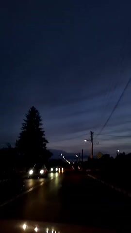 The video shows a view from inside a vehicle driving down a road at dusk. The sky is dark blue with wispy clouds. There are streetlights visible along the road, and the headlights of oncoming vehicles are illuminated. A large evergreen tree is silhouetted on the left side of the road. Telephone poles and wires are visible on the right. The road appears wet, reflecting the lights.