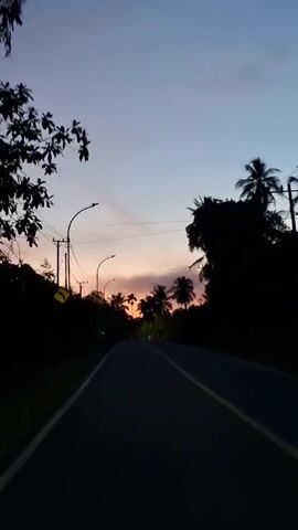 A video captures a road at dusk. The sky is a gradient of deep blue and fading orange. Silhouetted palm trees and other foliage line the sides of the road. Two streetlights are visible along the road. Power lines stretch across the frame. The road itself is dark, with a yellow line marking the center. The camera is looking forward, down the road, suggesting movement. The overall impression is one of a peaceful, transitional moment at the end of the day.