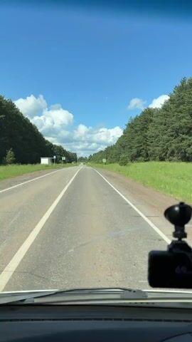 This video captures a first-person perspective from inside a vehicle traveling down a paved road in a rural area, likely in or near Mishkino, Russia. The road is flanked on both sides by dense evergreen trees, suggesting a forested or wooded setting. The sky is a bright blue with scattered white, fluffy clouds, indicating fair weather and daytime, possibly late morning or early afternoon.

The road itself is a two-lane highway with white lane markings. There are some signs visible along the roadside. On the left, there appears to be a bus stop shelter and a pedestrian crossing sign. On the right, another pedestrian crossing sign is visible. The camera is mounted inside the car, showing a portion of the dashboard and windshield. A black dashcam with a visible display showing "71" is mounted on the right side of the windshield. The overall mood is one of travel and a journey through a natural, serene landscape.
