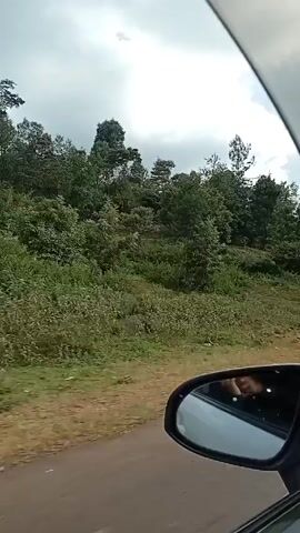 A car is moving along a narrow paved road.  The camera faces towards the passenger side. A dense patch of green trees and bushes is visible beside the road. There is a dirt bank that slopes down from the road to the foliage. Two people, both wearing red and blue, are sitting on the dirt bank facing the road. The car continues moving and the video ends. The sky is overcast.