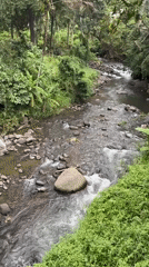 Tropical river and ornate gate scenes documented in Busungbiu