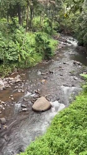 Tropical river and ornate gate scenes documented in Busungbiu
