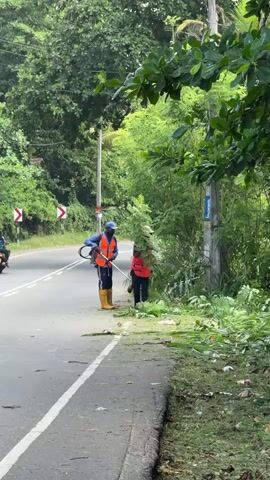 Two individuals wearing high-visibility vests are trimming vegetation along the side of a road. One person, on the left, is operating a string trimmer, holding the tool with both hands and a gas-powered engine visible on their back. They are wearing a blue hard hat and yellow boots. The other person, on the right, is using a handheld cutting tool, possibly shears or a smaller trimmer, and is wearing an orange vest and a hat. Cut vegetation is scattered on the road and the grassy verge. In the background, a motorcycle passes on the road, and a utility pole stands to the right of the workers. Lush green trees and foliage form a dense backdrop to the scene. The road appears to be paved with white lines marking the lanes. There are also a couple of curved road signs visible in the distance.