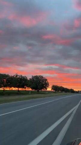 This is a vertical, first-person perspective video of a road at sunset. The road is paved and has white lane markers. On the left side of the road, there are several trees and a grassy field. The sky is filled with dramatic clouds that are colored with vibrant shades of orange, pink, and purple from the setting sun. The camera appears to be moving forward, as the road and the scenery are blurred, suggesting motion. There are no people or other vehicles visible in the frame.