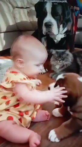 A baby wearing a yellow dress with strawberries is sitting on the floor, facing a puppy. The baby is pointing at the puppy with their left hand and appears to be talking or making sounds. The puppy is looking at the baby. In the background, a cat is sitting behind the puppy, and a large black and white dog is sitting behind the cat. The environment appears to be indoors, with wooden flooring and a rug visible.