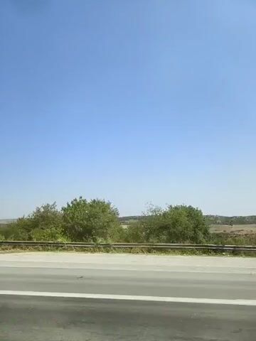 The video shows a clear blue sky and a rural landscape. A highway is visible in the foreground, with trees and vegetation on either side. The scene appears to be a roadside view, possibly from a moving vehicle. The time stamp indicates the video is only a few seconds long, capturing a fleeting moment of the environment.