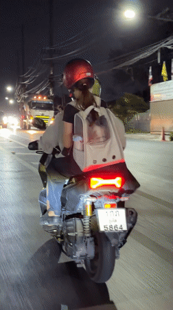 Evening scenes captured across southern Thailand locations