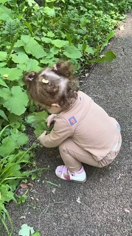A young child with curly brown hair and two small ponytails tied with pink elastics is crouching down to examine plants. The child is wearing a light brown long-sleeved shirt with a square orange and blue patch on the left sleeve and another on the right side of the back, and matching light brown pants with a light blue trim peeking out at the waist. The child also wears white sandals with pink accents. The child's face is turned away from the camera, focused on the green foliage. The ground is a mix of a rough, dark pathway and green plants. The scene appears to be outdoors.
