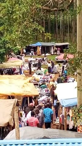 The video shows a busy outdoor marketplace with many vendors and shoppers. The market is set up in a somewhat open area surrounded by trees. Stalls and tables, some covered with makeshift awnings, display goods like clothing. People are milling around, browsing, and presumably buying and selling items. The camera zooms out slightly to reveal a blue corrugated roof in the foreground, suggesting the video is taken from an elevated position overlooking the market.