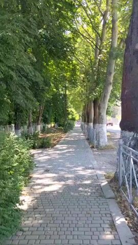 A video captures a perspective shot walking along a paved sidewalk lined with trees. The trees are tall and leafy, casting dappled shadows on the walkway. On the left side of the sidewalk, there are green bushes and a white fence. On the right side of the sidewalk, there is a metal fence and more trees, some of which have their lower trunks painted white. In the distance, a road and some buildings are visible. The video ends as the walkway approaches an entrance with a green gate, revealing a playground area beyond.